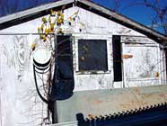 Shed